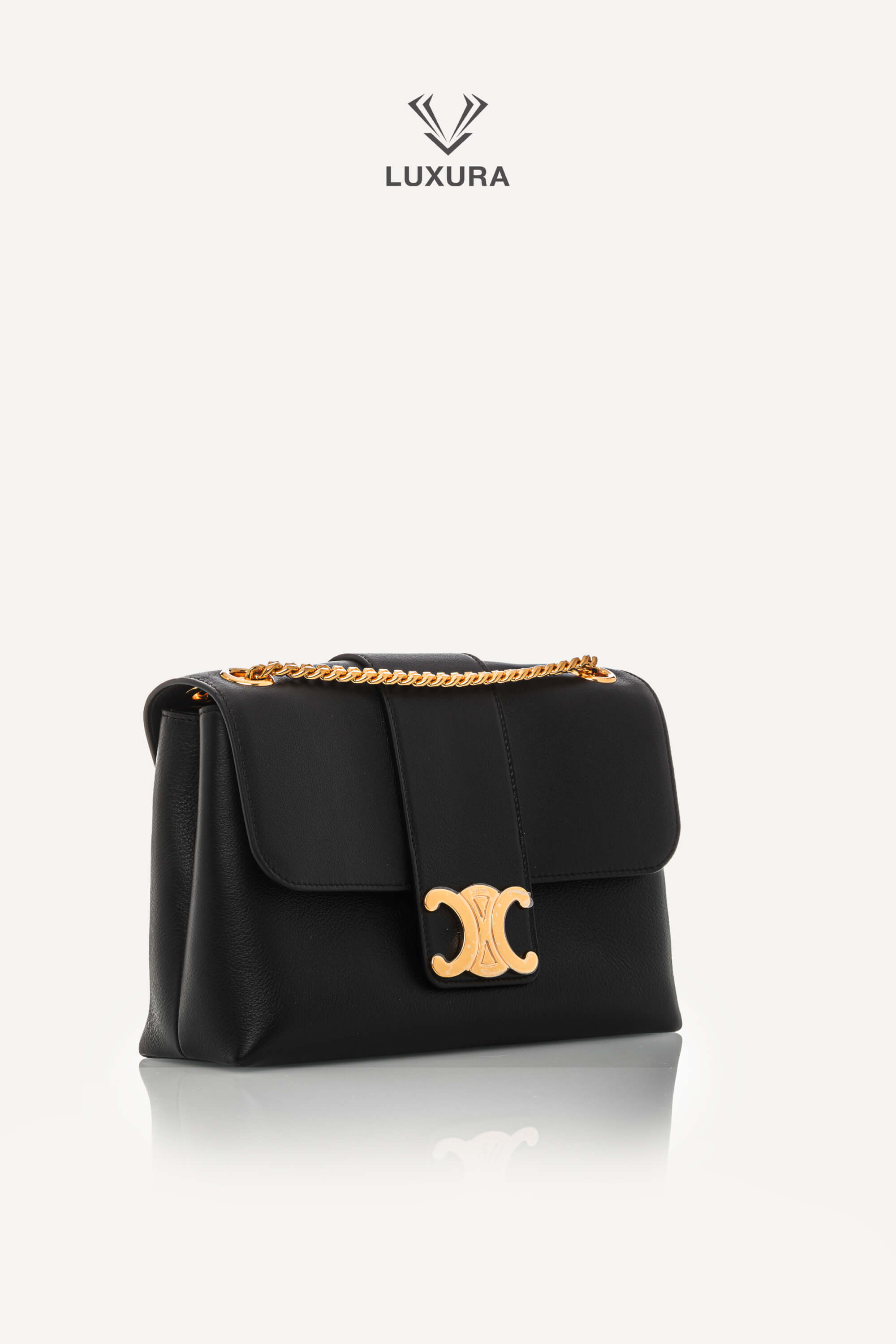 Genti de designeri pre-owned | CELINE Medium Victoire Bag in Supple Calfskin