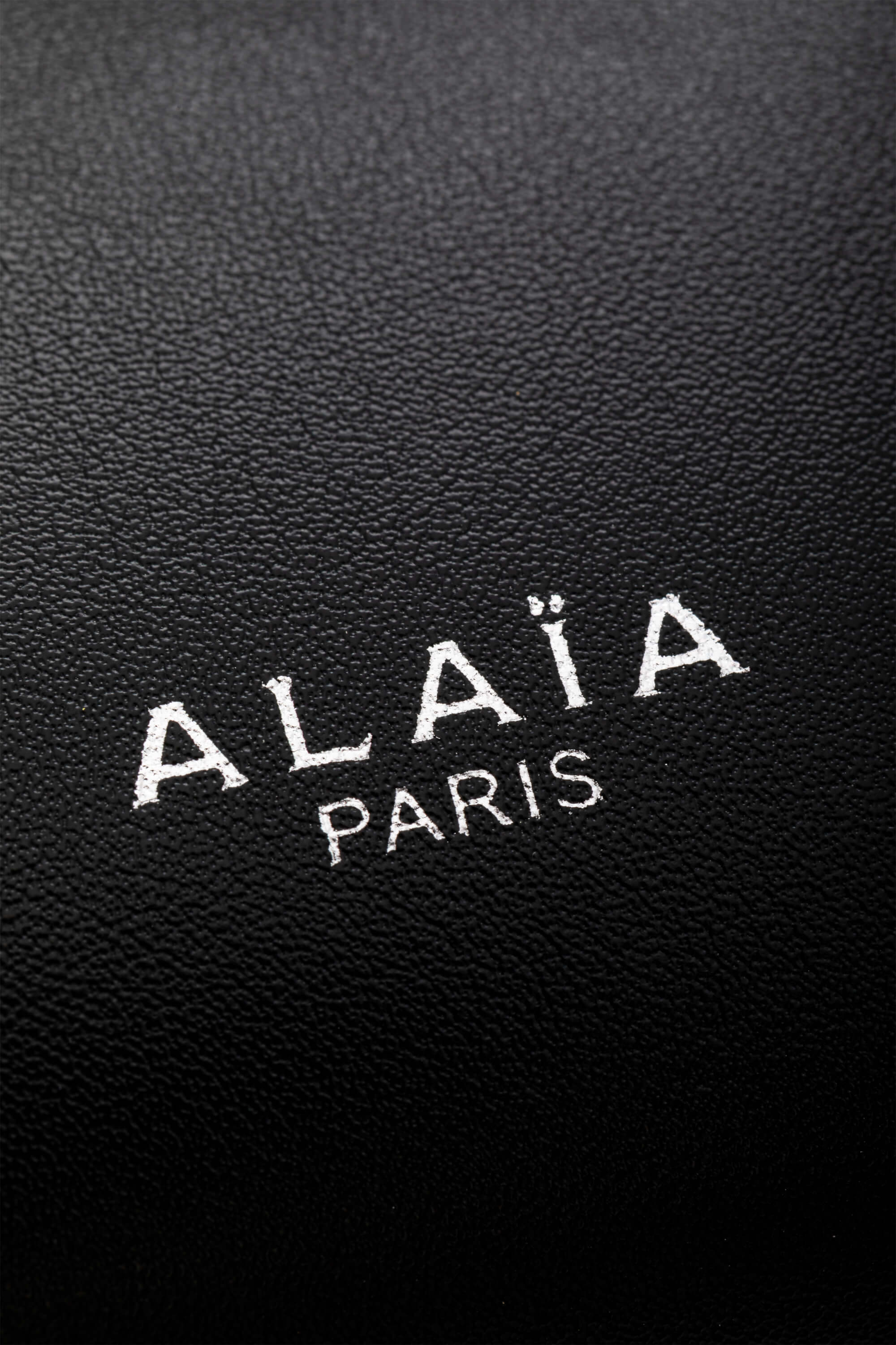 <span style="font-size: 10px;letter-spacing: .15em">HARD TO FIND</span><br> <strong>ALAIA</strong><br> <div style="margin-top:10px;font-size:16px">Goatskin Medium Le Teckel Bag Black</div><br> - Image 17